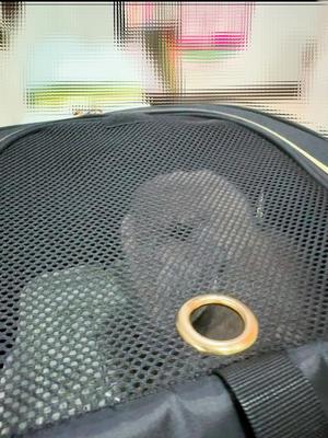 雪平奈々の写メ日記｜ローテンブルク 吉原高級店ソープ