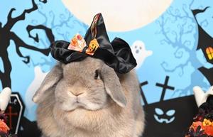 雪平奈々の写メ日記｜ローテンブルク 吉原高級店ソープ