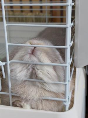 雪平奈々の写メ日記｜ローテンブルク 吉原高級店ソープ