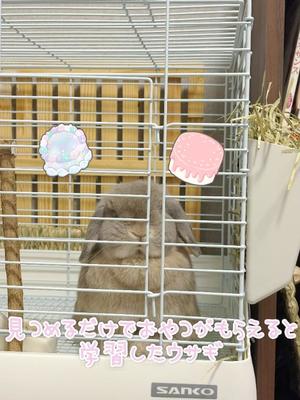 雪平奈々の写メ日記｜ローテンブルク 吉原高級店ソープ