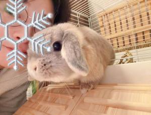 雪平奈々の写メ日記｜ローテンブルク 吉原高級店ソープ