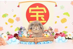 雪平奈々の写メ日記｜ローテンブルク 吉原高級店ソープ