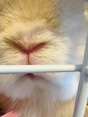 雪平奈々の写メ日記｜ローテンブルク 吉原高級店ソープ