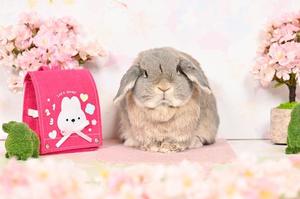 雪平奈々の写メ日記｜ローテンブルク 吉原高級店ソープ