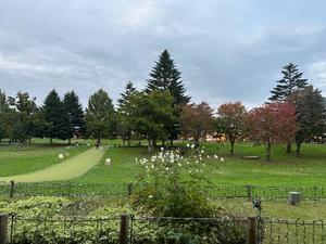 長澤舞美の写メ日記｜ローテンブルク 吉原高級店ソープ