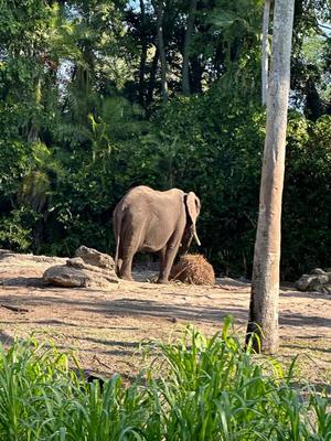 長澤舞美の写メ日記｜ローテンブルク 吉原高級店ソープ
