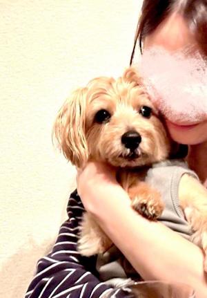 長澤舞美の写メ日記|ローテンブルク 吉原高級店ソープ