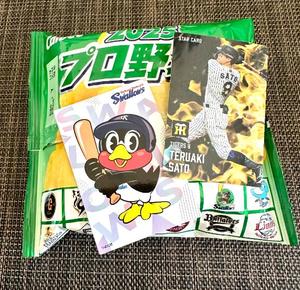 長澤舞美の写メ日記｜ローテンブルク 吉原高級店ソープ