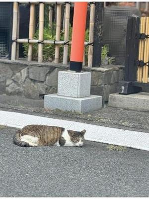 一色ナオの写メ日記｜ローテンブルク 吉原高級店ソープ