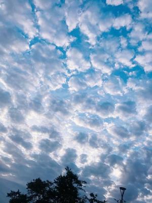 芽吹エマの写メ日記|ローテンブルク 吉原高級店ソープ