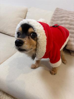 みかの写メ日記｜ローテンブルク 吉原高級店ソープ