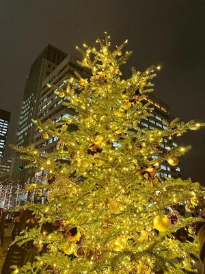 氷川 愛の写メ日記｜ローテンブルク 吉原高級店ソープ