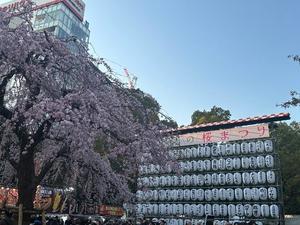 氷川 愛の写メ日記｜ローテンブルク 吉原高級店ソープ