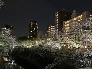 氷川 愛の写メ日記｜ローテンブルク 吉原高級店ソープ