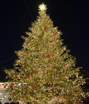 伊原知花の写メ日記|ローテンブルク 吉原高級店ソープ