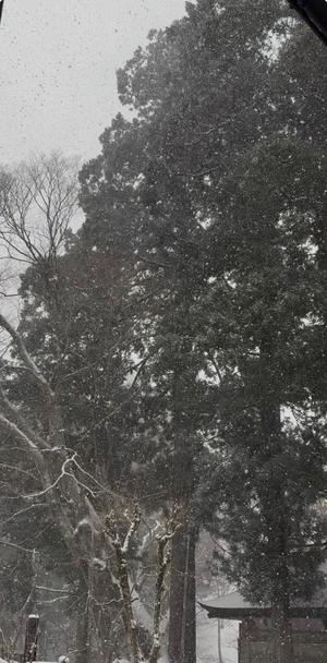 伊原知花の写メ日記｜ローテンブルク 吉原高級店ソープ