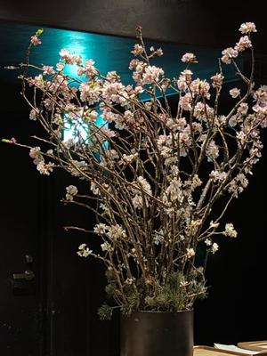 菊島ゆなの写メ日記｜ローテンブルク 吉原高級店ソープ