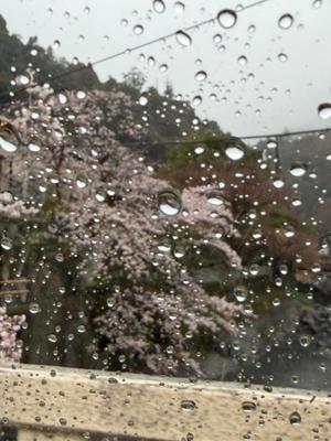 菊島ゆなの写メ日記｜ローテンブルク 吉原高級店ソープ