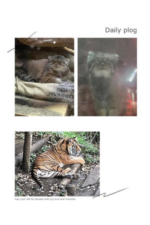 山脇かずみの写メ日記｜ローテンブルク 吉原高級店ソープ