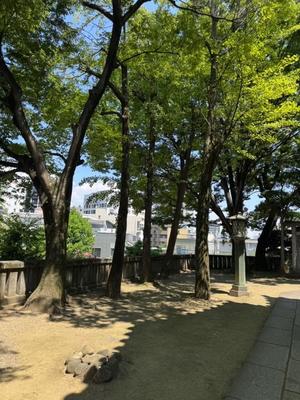 小栗彩矢の写メ日記｜ローテンブルク 吉原高級店ソープ