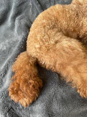 小栗彩矢の写メ日記｜ローテンブルク 吉原高級店ソープ