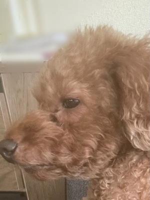 小栗彩矢の写メ日記｜ローテンブルク 吉原高級店ソープ