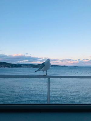 小栗彩矢の写メ日記｜ローテンブルク 吉原高級店ソープ