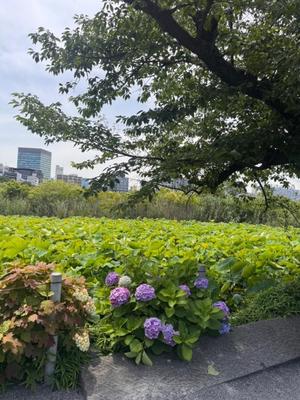 小栗彩矢の写メ日記｜ローテンブルク 吉原高級店ソープ