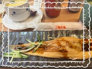 風見優花の写メ日記｜ローテンブルク 吉原高級店ソープ