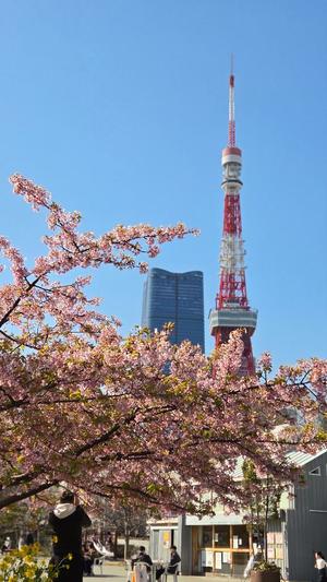 仲間有咲の写メ日記｜ローテンブルク 吉原高級店ソープ