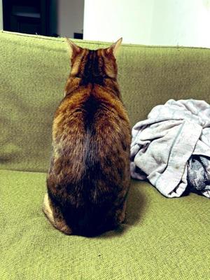 石川あさ美の写メ日記｜ローテンブルク 吉原高級店ソープ