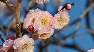 石川あさ美の写メ日記｜ローテンブルク 吉原高級店ソープ