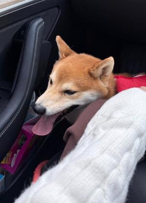 夏野朝妃の写メ日記｜ローテンブルク 吉原高級店ソープ