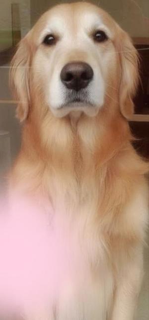 川原すずかの写メ日記｜ローテンブルク 吉原高級店ソープ