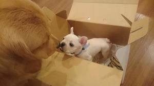 川原すずかの写メ日記｜ローテンブルク 吉原高級店ソープ