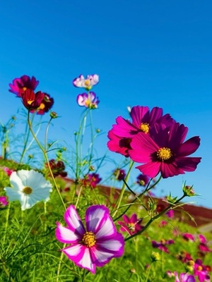 早乙女りえの写メ日記｜ローテンブルク 吉原高級店ソープ