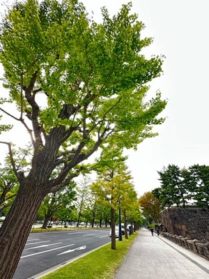 早乙女りえの写メ日記｜ローテンブルク 吉原高級店ソープ