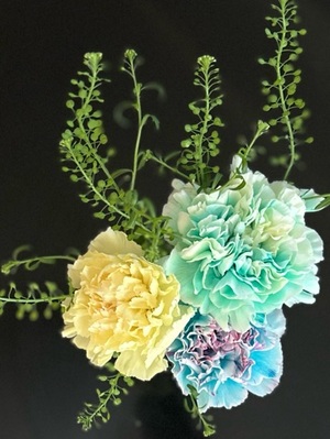 早乙女りえの写メ日記｜ローテンブルク 吉原高級店ソープ