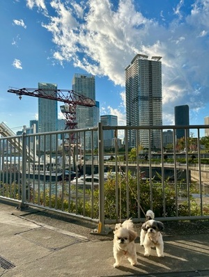 早乙女りえの写メ日記｜ローテンブルク 吉原高級店ソープ