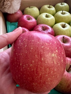 早乙女りえの写メ日記｜ローテンブルク 吉原高級店ソープ