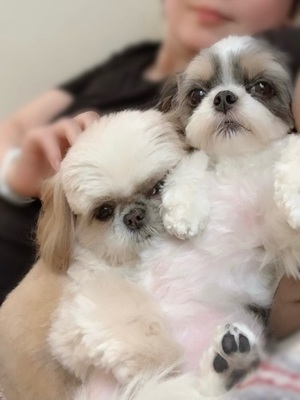 早乙女りえの写メ日記｜ローテンブルク 吉原高級店ソープ