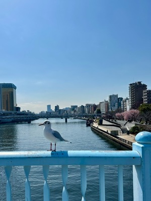 早乙女りえの写メ日記｜ローテンブルク 吉原高級店ソープ