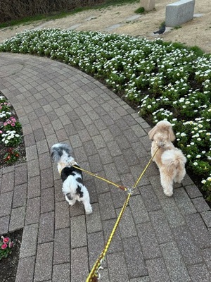 早乙女りえの写メ日記｜ローテンブルク 吉原高級店ソープ