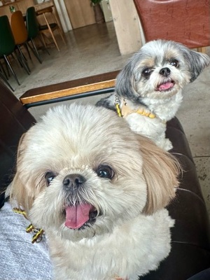 早乙女りえの写メ日記｜ローテンブルク 吉原高級店ソープ