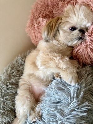 早乙女りえの写メ日記｜ローテンブルク 吉原高級店ソープ