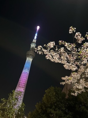 早乙女りえの写メ日記｜ローテンブルク 吉原高級店ソープ