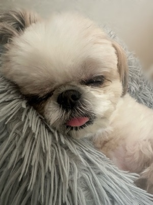 早乙女りえの写メ日記｜ローテンブルク 吉原高級店ソープ