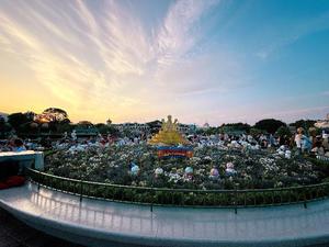 森川すみれの写メ日記｜ローテンブルク 吉原高級店ソープ
