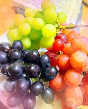 森川すみれの写メ日記｜ローテンブルク 吉原高級店ソープ