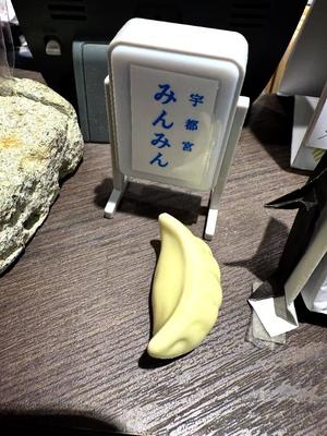 森川すみれの写メ日記|ローテンブルク 吉原高級店ソープ